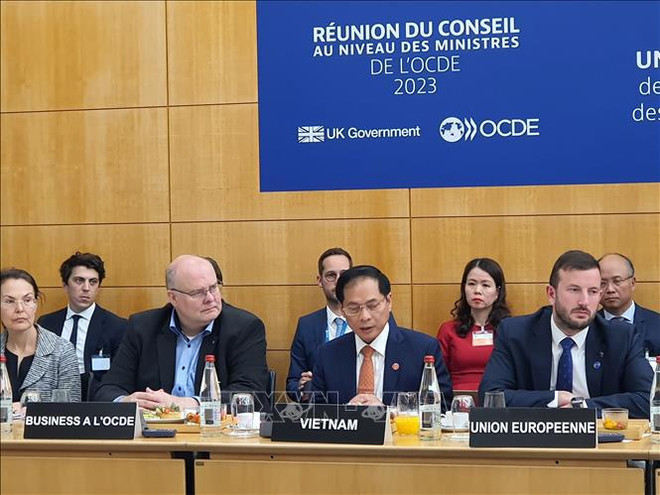 Le ministre des AE souligne la détermination du Vietnam pour la transition verte ảnh 1 Le ministre des AE souligne la détermination du Vietnam pour la transition verte ảnh 1