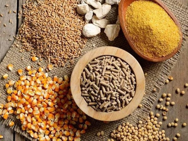 Le Vietnam importe plus de 2 milliards de dollars des aliments pour animaux en 5 mois ảnh 1
