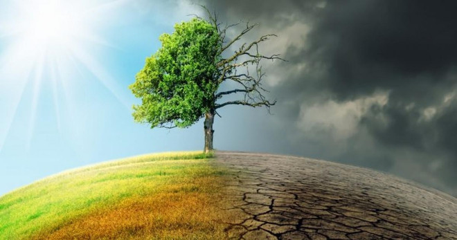 Le plus grand défi de développement du Vietnam est le changement climatique, selon un expert du PNUD ảnh 2