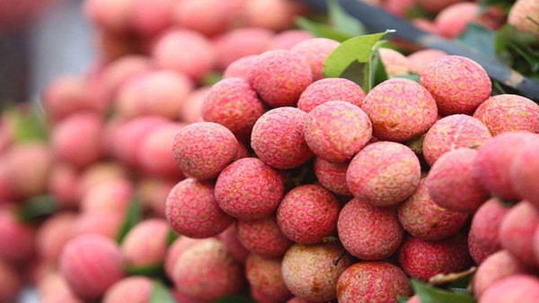 Le premier lot de litchi vietnamien "U hong" expédié vers le Royaume-Uni ảnh 1