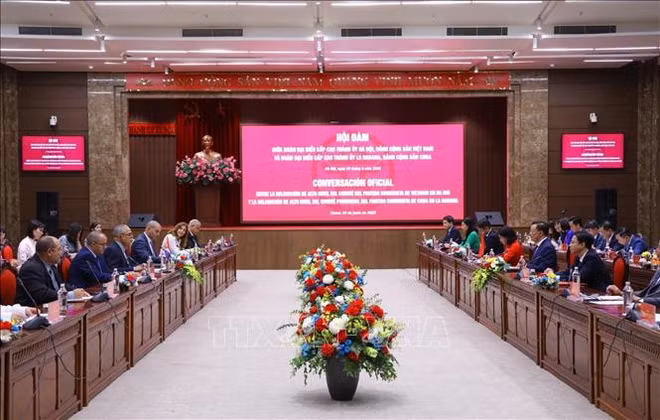 Amélioration de l'efficacité de coopération entre le Vietnam et Cuba ảnh 1