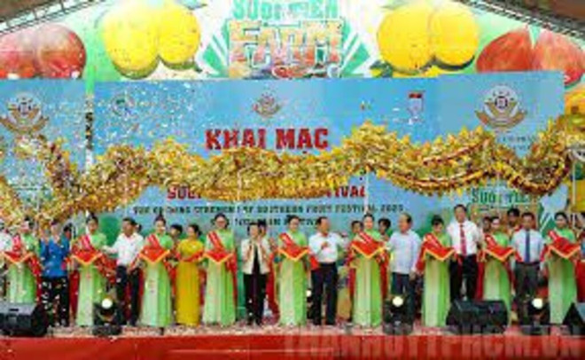 Festival des fruits du Sud : une célébration éblouissante de saveurs et de spectacles ảnh 1