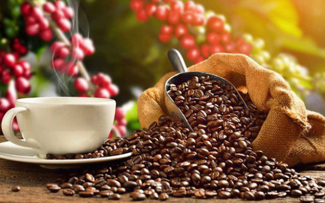 Les exportations de café pourraient franchir la barre des 4 milliards de dollars ảnh 1 Les exportations de café pourraient franchir la barre des 4 milliards de dollars ảnh 1