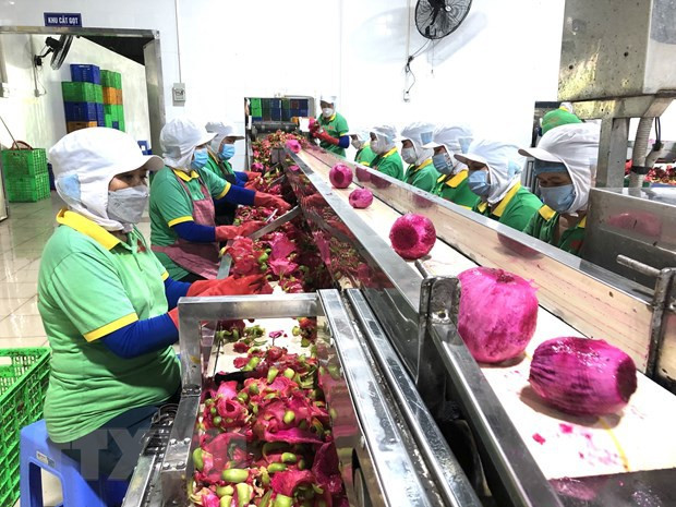 Renforcement de la coopération Vietnam-Chine dans le commerce des produits agricoles ảnh 1 Renforcement de la coopération Vietnam-Chine dans le commerce des produits agricoles ảnh 1