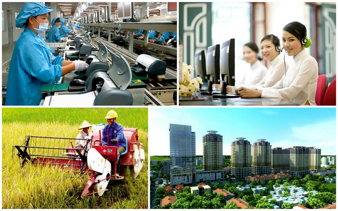 Le plus grand défi de développement du Vietnam est le changement climatique, selon un expert du PNUD ảnh 3