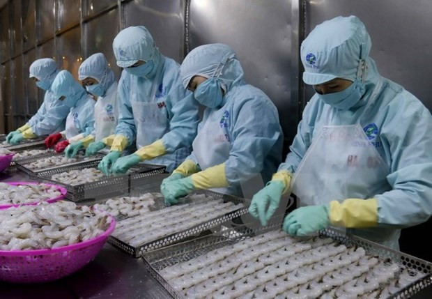 Le Vietnam exporte 2,18 milliards de dollars de produits aquatiques ảnh 1 Le Vietnam exporte 2,18 milliards de dollars de produits aquatiques ảnh 1