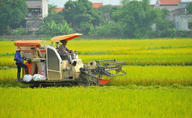 Plan d’exécution de la directive du Secrétariat sur la réduction durable de la pauvreté ảnh 1 Plan d’exécution de la directive du Secrétariat sur la réduction durable de la pauvreté ảnh 1