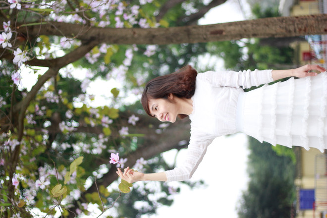 Hanoï: la beauté des fleurs du mois de mars ảnh 4 Hanoï: la beauté des fleurs du mois de mars ảnh 4