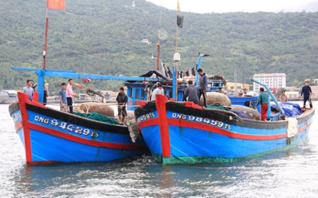 Le Syndicat de la pêche proteste contre l'attaque d'un bateau vietnamien par un étranger ảnh 1 Le Syndicat de la pêche proteste contre l'attaque d'un bateau vietnamien par un étranger ảnh 1