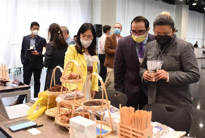 Vietnam et Mexique promeuvent la coopération économique et d'investissement ảnh 2 Vietnam et Mexique promeuvent la coopération économique et d'investissement ảnh 2