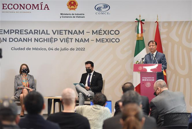 Vietnam et Mexique promeuvent la coopération économique et d'investissement ảnh 1 Vietnam et Mexique promeuvent la coopération économique et d'investissement ảnh 1