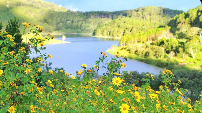 Dà Lat dans le top 3 des meilleures destinations d'observation de fleurs au monde ảnh 1 Dà Lat dans le top 3 des meilleures destinations d'observation de fleurs au monde ảnh 1