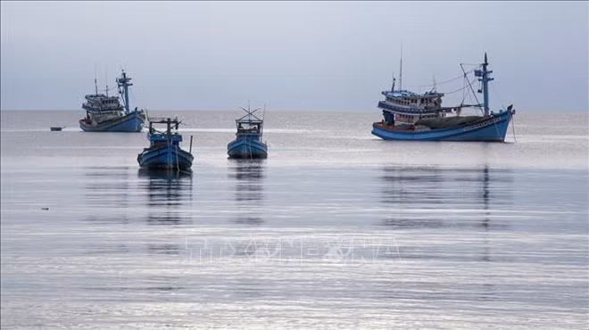 Le Vietnam veut développer une pêche durable et responsable ảnh 2