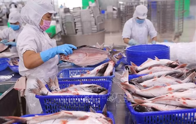 Les exportations de produits aquatiques en hausse de 42% en cinq mois ảnh 1 Les exportations de produits aquatiques en hausse de 42% en cinq mois ảnh 1