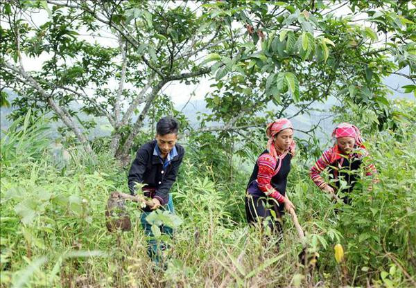 đ Ădito: Le Vietnam promeut les Ă©conomies d'Ă©nergie pour un double objectif áșŁnh 4 đ Ădito: Le Vietnam promeut les Ă©conomies d'Ă©nergie pour un double objectif áșŁnh 4