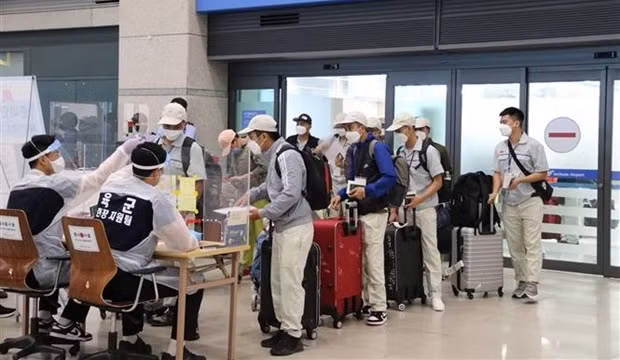 La R. de Corée prolonge les contrats de travail pour les Vietnamiens ảnh 1