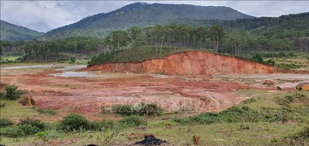 Renforcement des écosystèmes dans les provinces de Lam Dong et de Dak Nong ảnh 1