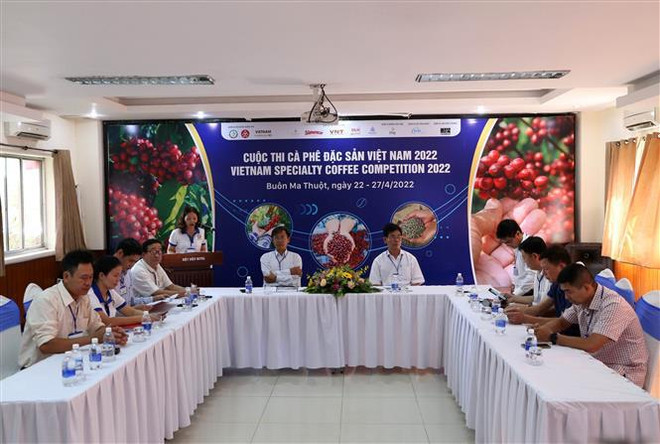 Plus de 80 échantillons de café participent au Concours de café de spécialité du Vietnam 2022 ảnh 2 Plus de 80 échantillons de café participent au Concours de café de spécialité du Vietnam 2022 ảnh 2