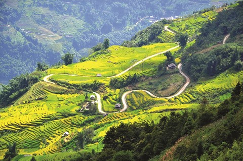 Ngai Thâu Thuong : récit du changement d’un village H’mông ảnh 1 Ngai Thâu Thuong : récit du changement d’un village H’mông ảnh 1