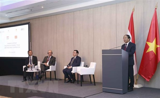 Séminaire Vietnam - Hongrie sur l'économie, le commerce et l'investissement ảnh 1 Séminaire Vietnam - Hongrie sur l'économie, le commerce et l'investissement ảnh 1