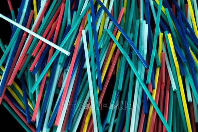 Promouvoir des solutions pour remplacer les produits en plastique à usage unique ảnh 2 Promouvoir des solutions pour remplacer les produits en plastique à usage unique ảnh 2