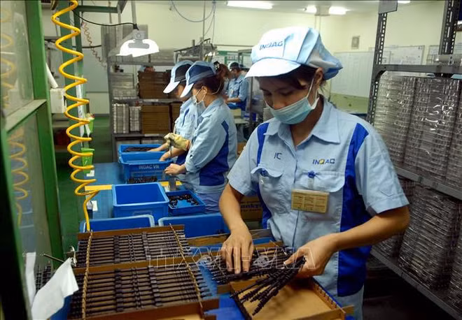 Les exportations vietnamiennes en forte croissance en 2021 ảnh 2