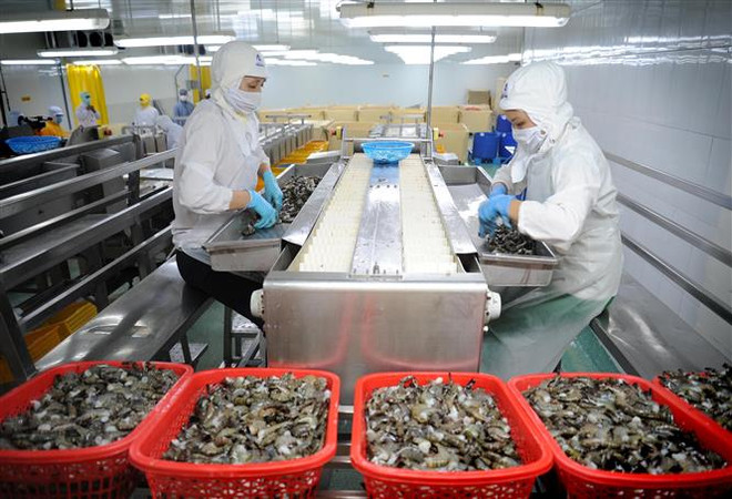 Les exportations de produits aquatiques atteindront plus de 2 milliards de dollars au 1er trimestre ảnh 1 Les exportations de produits aquatiques atteindront plus de 2 milliards de dollars au 1er trimestre ảnh 1