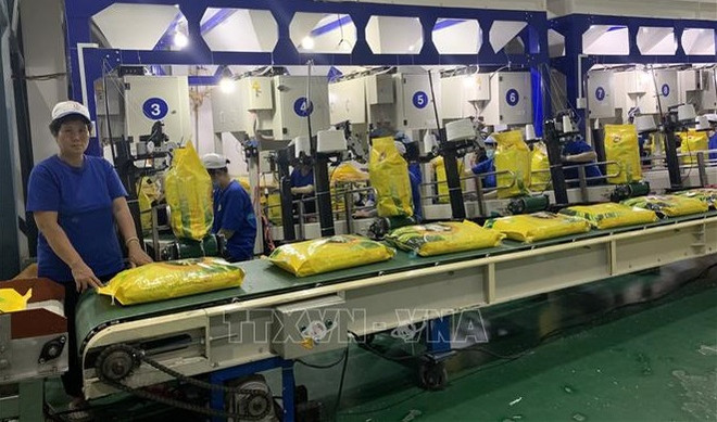 Promouvoir les exportations de riz vers les marchés de l'ASEAN ảnh 1 Promouvoir les exportations de riz vers les marchés de l'ASEAN ảnh 1