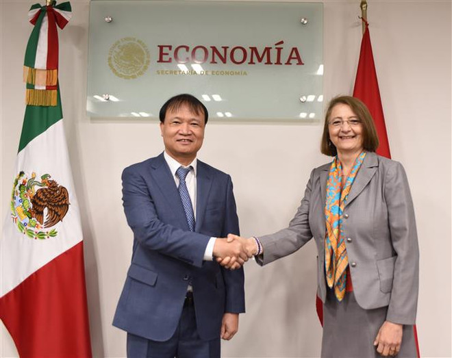 Vietnam et Mexique promeuvent la coopération économique et d'investissement ảnh 3 Vietnam et Mexique promeuvent la coopération économique et d'investissement ảnh 3