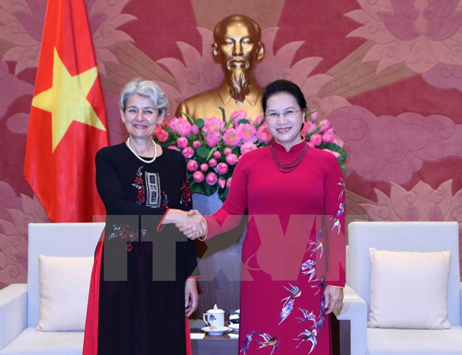 L’UNESCO contribue grandement au développement durable au Vietnam ảnh 1 L’UNESCO contribue grandement au développement durable au Vietnam ảnh 1
