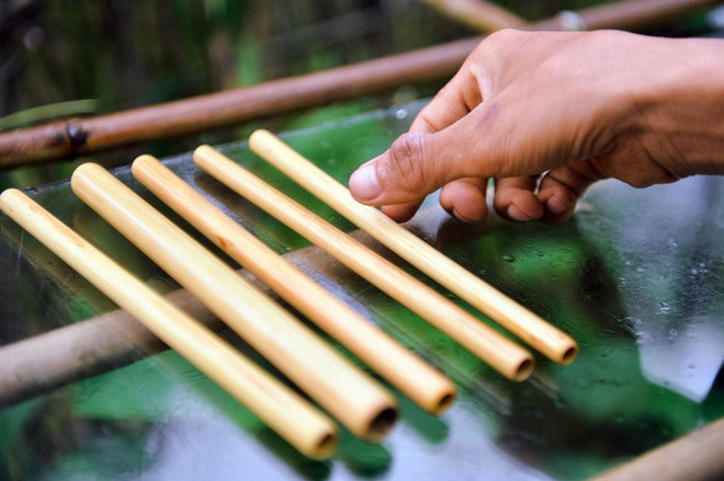 Trân Minh Tiên : la passion de l’écologie ảnh 2 Trân Minh Tiên : la passion de l’écologie ảnh 2