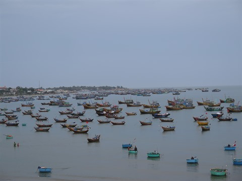 Ressources maritimes: durcissement de la législation à l’encontre de l’exploitation illégale ảnh 1 Ressources maritimes: durcissement de la législation à l’encontre de l’exploitation illégale ảnh 1
