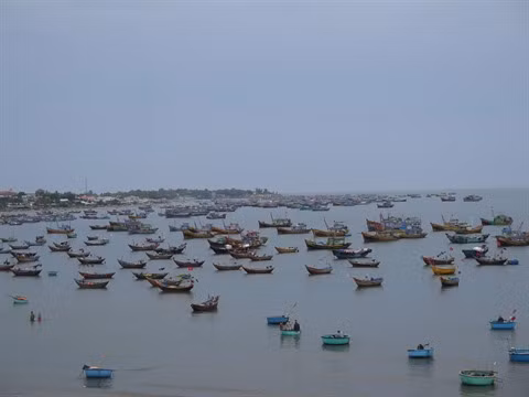 Ressources maritimes: durcissement de la législation à l’encontre de l’exploitation illégale ảnh 1 Ressources maritimes: durcissement de la législation à l’encontre de l’exploitation illégale ảnh 1