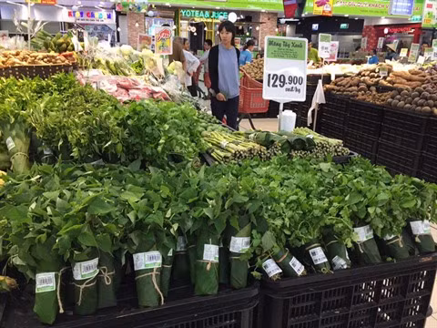 Dire "non" aux articles plastiques à usage unique ảnh 1 Dire "non" aux articles plastiques à usage unique ảnh 1