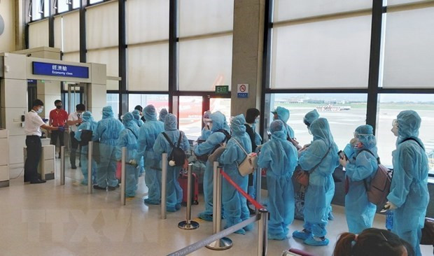 COVID-19 : rapatriement de plus de 230 Vietnamiens de Singapour ảnh 1