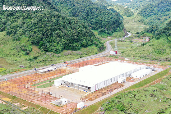 Entrée en activité de l'usine de traitement de fruits frais de Van Ho ảnh 1 Entrée en activité de l'usine de traitement de fruits frais de Van Ho ảnh 1