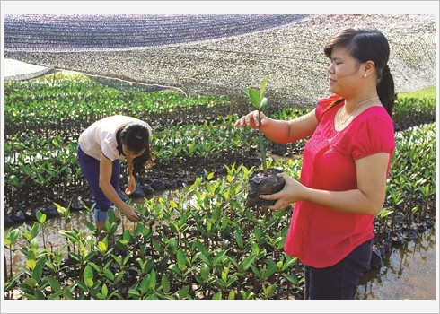Voyager autrement au Parc national de Xuân Thuy ảnh 5 Voyager autrement au Parc national de Xuân Thuy ảnh 5