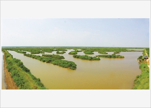 Voyager autrement au Parc national de Xuân Thuy ảnh 3 Voyager autrement au Parc national de Xuân Thuy ảnh 3