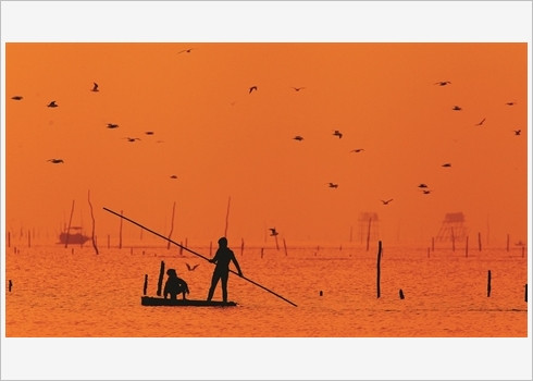 Voyager autrement au Parc national de Xuân Thuy ảnh 4 Voyager autrement au Parc national de Xuân Thuy ảnh 4