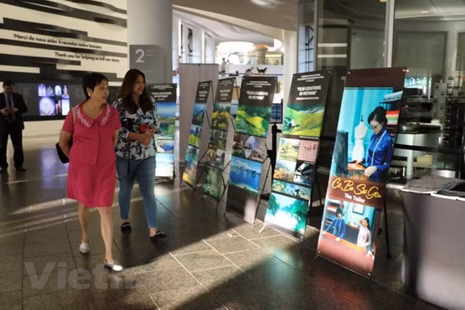 Des films vietnamiens projetés au Canada ảnh 1