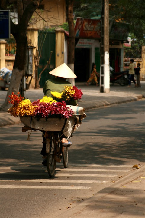 Les rues hanoïennes au rythme des saisons des fleurs ảnh 2 Les rues hanoïennes au rythme des saisons des fleurs ảnh 2
