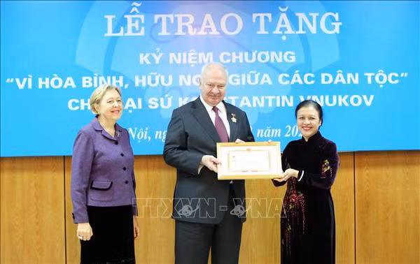 L’Union des organisations d'amitié du Vietnam, noyau de la diplomatie populaire ảnh 1