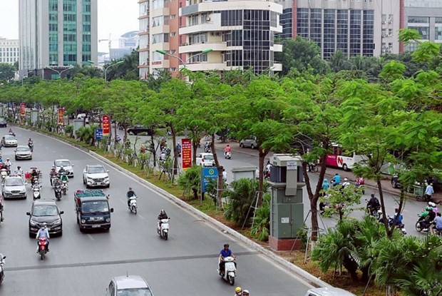 Le Vietnam lance son plan visant à planter un milliards d’arbres ảnh 2 Le Vietnam lance son plan visant à planter un milliards d’arbres ảnh 2