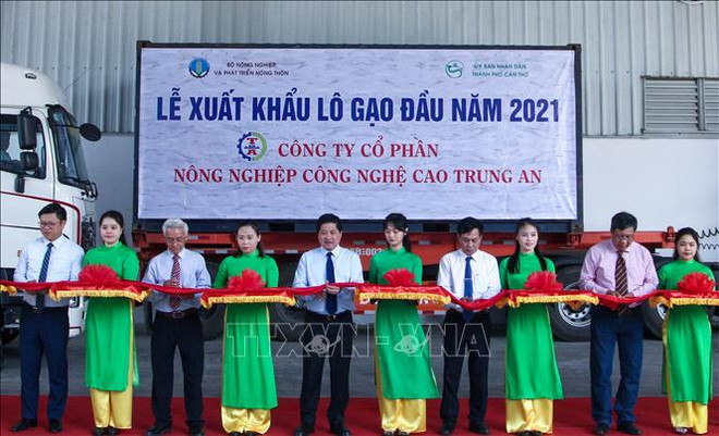 Le Vietnam exportera 1 600 tonnes de riz à prix élevés vers Singapour et la Malaisie ảnh 1 Le Vietnam exportera 1 600 tonnes de riz à prix élevés vers Singapour et la Malaisie ảnh 1