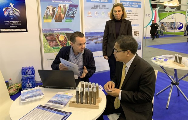 Un séminaire virtuel sur la coopération Vietnam - Algérie - Sénégal aura lieu en avril ảnh 1 Un séminaire virtuel sur la coopération Vietnam - Algérie - Sénégal aura lieu en avril ảnh 1