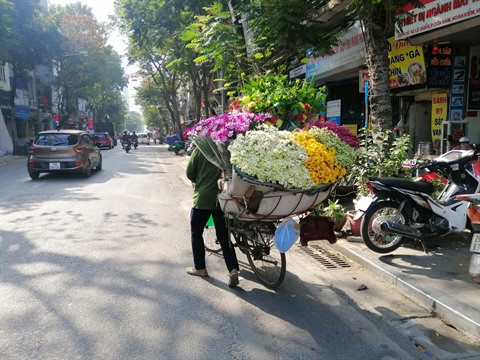 Les rues hanoïennes au rythme des saisons des fleurs ảnh 1 Les rues hanoïennes au rythme des saisons des fleurs ảnh 1