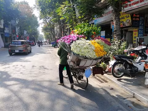 Les rues hanoïennes au rythme des saisons des fleurs ảnh 1 Les rues hanoïennes au rythme des saisons des fleurs ảnh 1