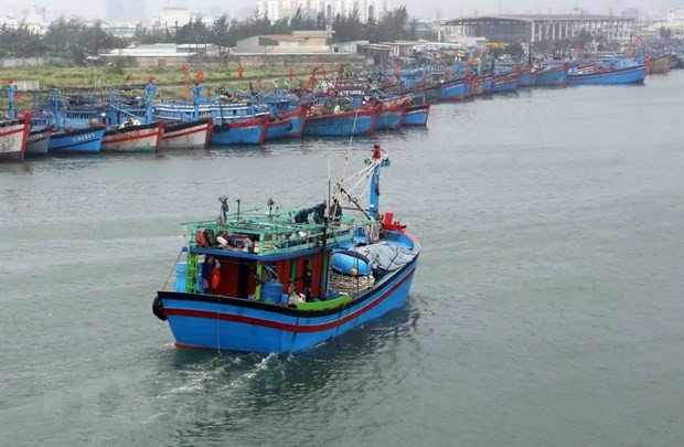 Mer et îles : Ca Mau et sa stratégie de développer l’économie maritime ảnh 3 Mer et îles : Ca Mau et sa stratégie de développer l’économie maritime ảnh 3