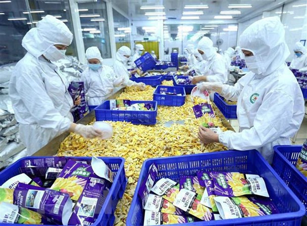 Vietnam-Chine: plus de 133 milliards de dollars d'échanges commerciaux ảnh 1