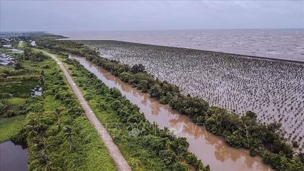 Mobiliser des ressources pour le nouveau projet de planification du delta du Mékong ảnh 2